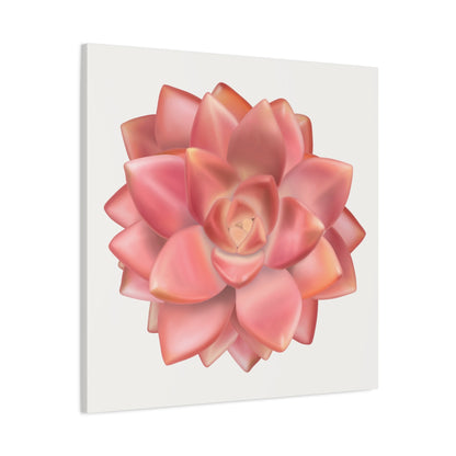 Graptosedum California Sunset Succulent Canvas Print – Botanical Wall Art