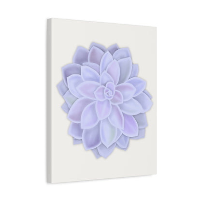 Graptopetalum Murasaki Succulent Canvas Print – Botanical Wall Art