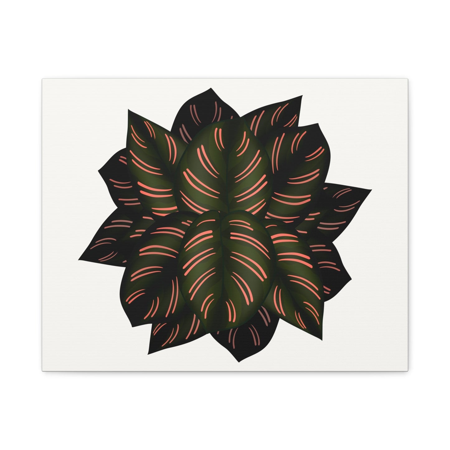 Calathea Pinstripe Canvas Print – Botanical Wall Art