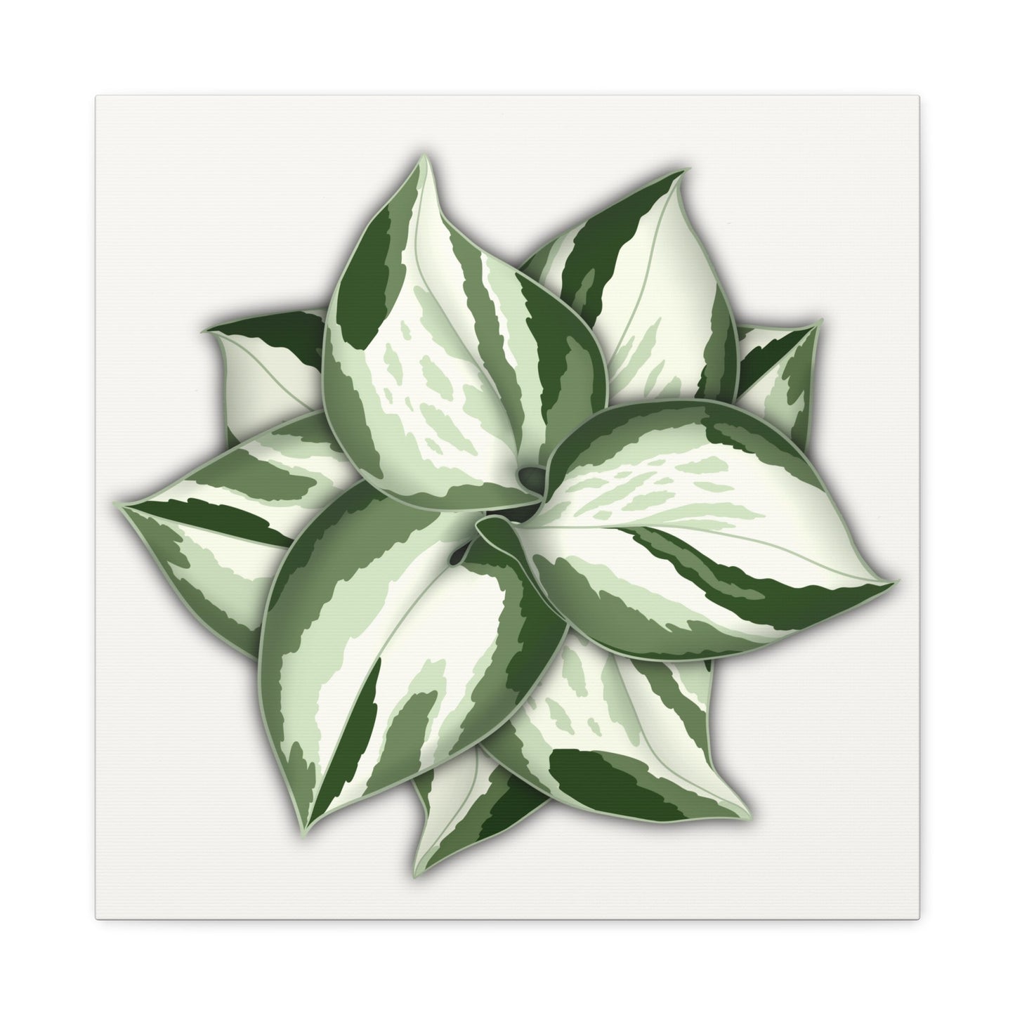 Manjula Pothos Canvas Print – Botanical Wall Art