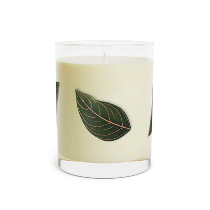 Aglaonema Rotundum Soy Candle 11 oz – Three Scent Options
