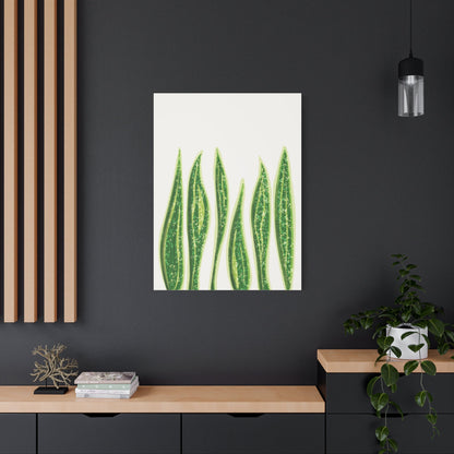 Snake Plant Canvas Print – Botanical Wall Art