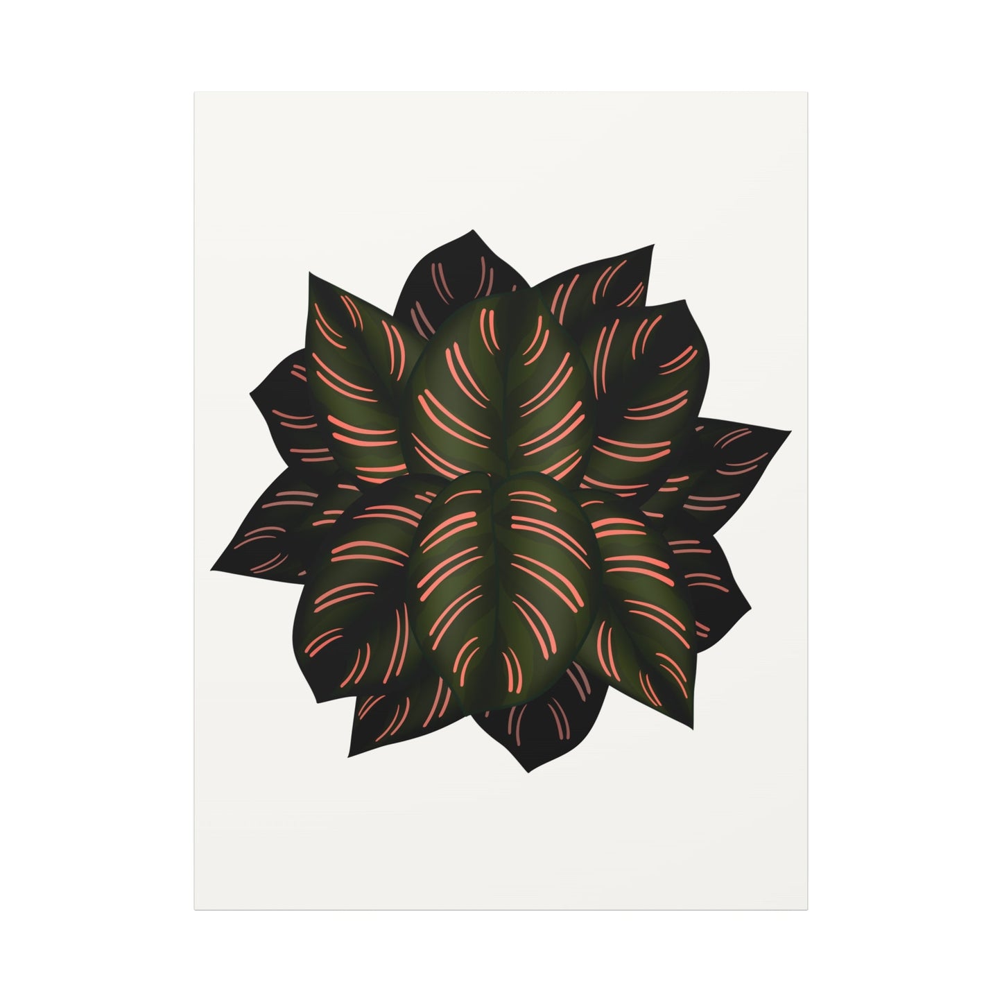 Calathea Pinstripe Canvas Print – Botanical Wall Art
