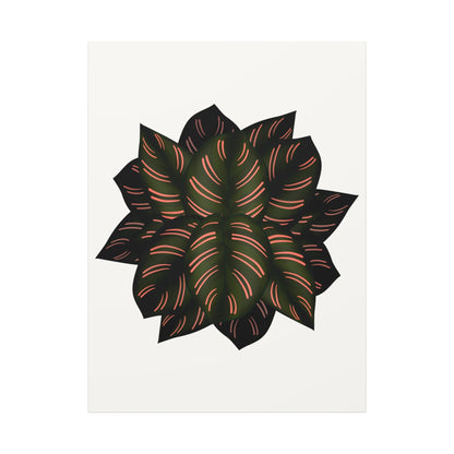 Calathea Pinstripe Canvas Print – Botanical Wall Art
