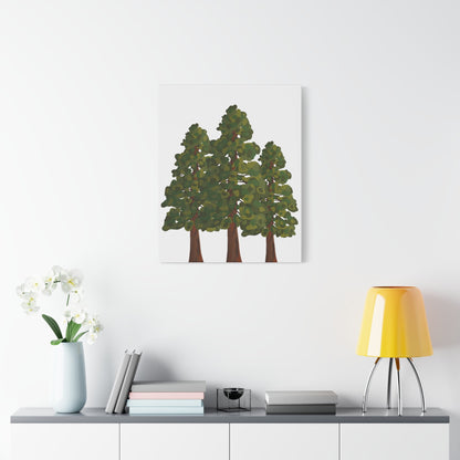 Coastal Redwood Canvas Print – Wall Art