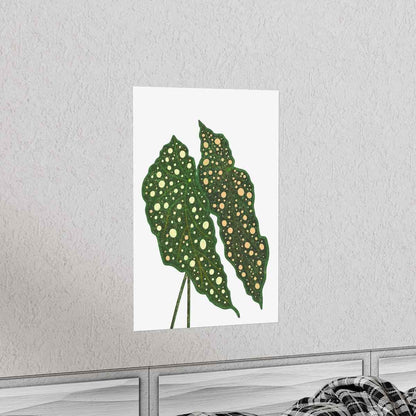 Begonia Maculata Botanical Print – Unframed Wall Art