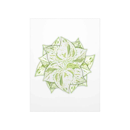 Snow Queen Pothos Botanical Print – Unframed Wall Art
