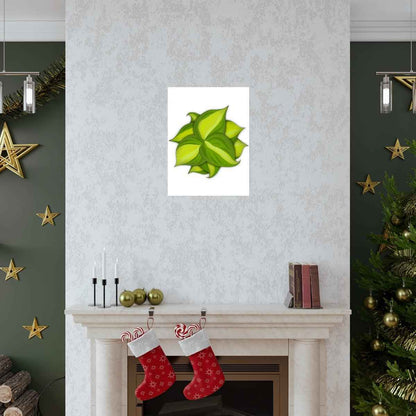 Philodendron Brasil Botanical Print – Unframed Wall Art