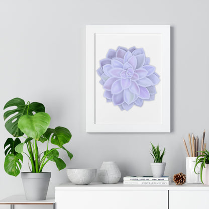 Graptopetalum Murasaki Succulent Framed Print – Botanical Wall Art
