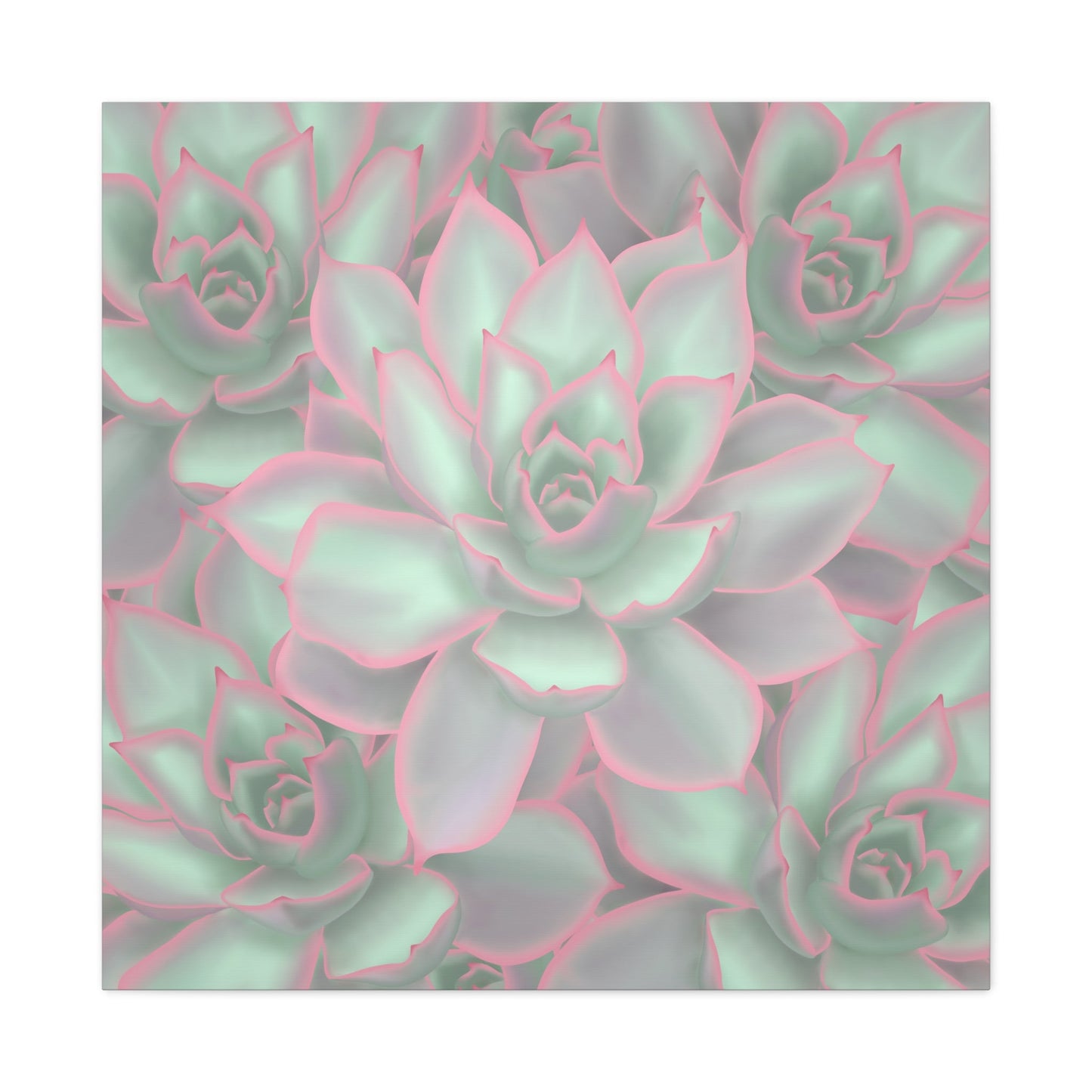 Echeveria Violet Queen Succulent Pattern Canvas Print – Botanical Wall Art