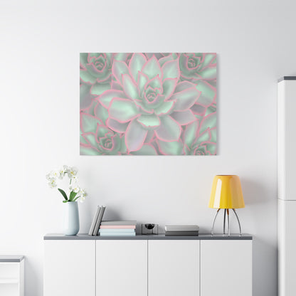 Echeveria Violet Queen Succulent Pattern Canvas Print – Botanical Wall Art