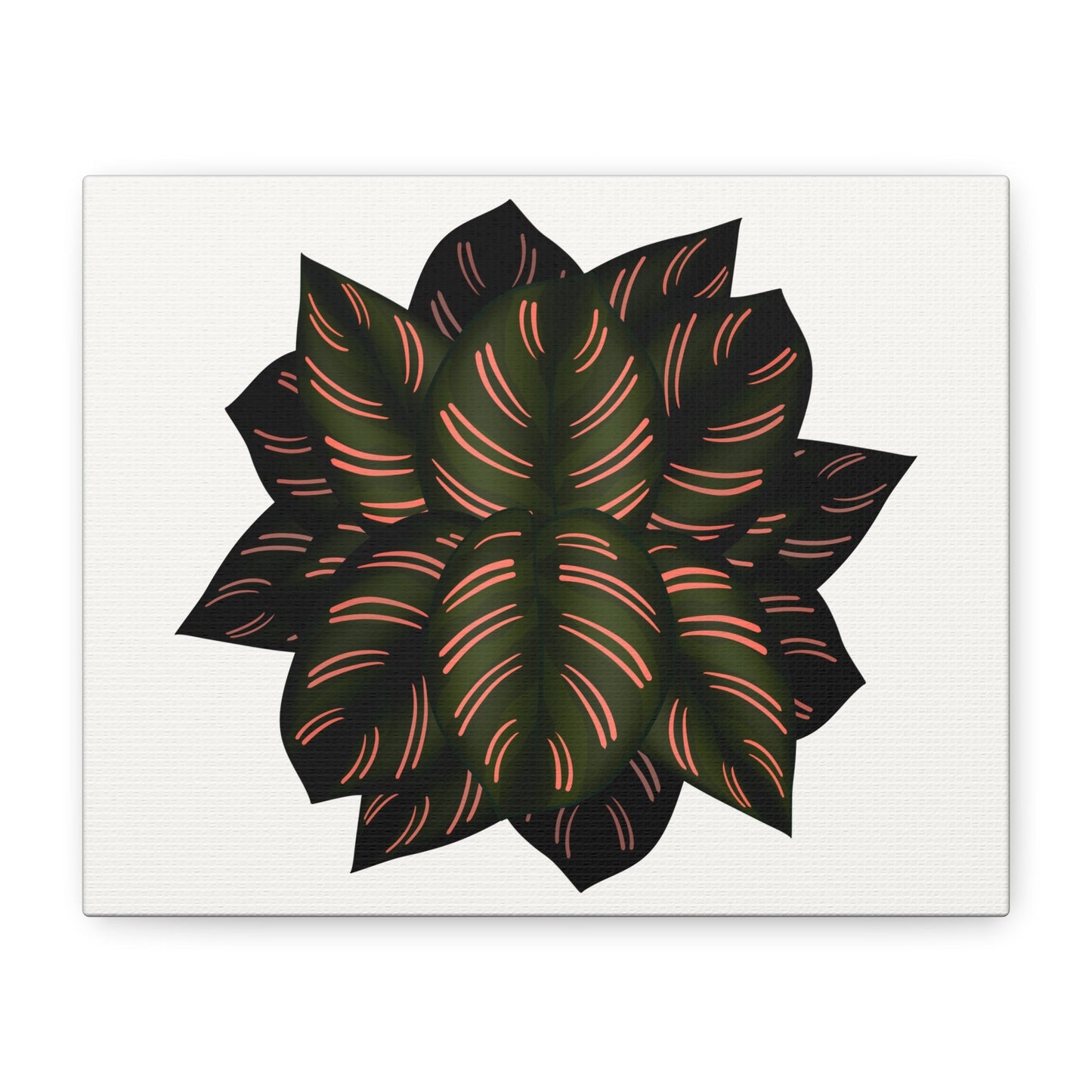 Calathea Pinstripe Canvas Print – Botanical Wall Art