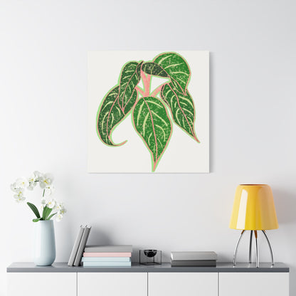 Aglaonema Sparkling Sarah Canvas Print – Botanical Wall Art