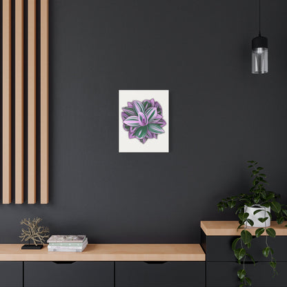 Tradescantia Nanouk Canvas Print – Botanical Wall Art