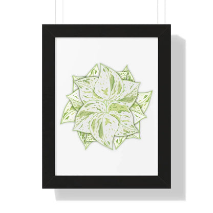 Snow Queen Pothos Framed Print – Botanical Wall Art