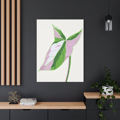 Syngonium Tricolor Canvas Print – Botanical Wall Art