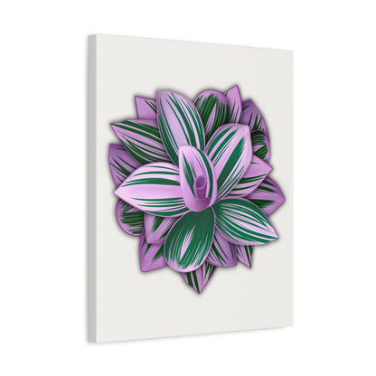 Tradescantia Nanouk Canvas Print – Botanical Wall Art