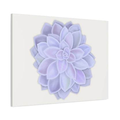Graptopetalum Murasaki Succulent Canvas Print – Botanical Wall Art