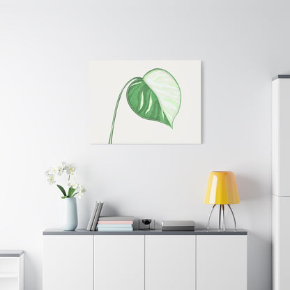 Monstera Albo Canvas Print – Botanical Wall Art