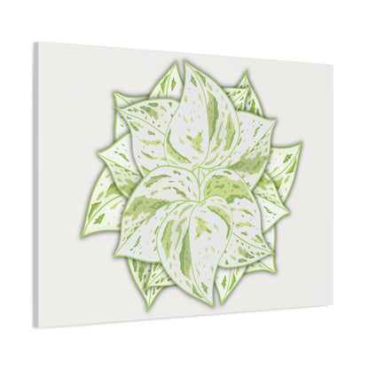 Snow Queen Pothos Canvas Print – Botanical Wall Art