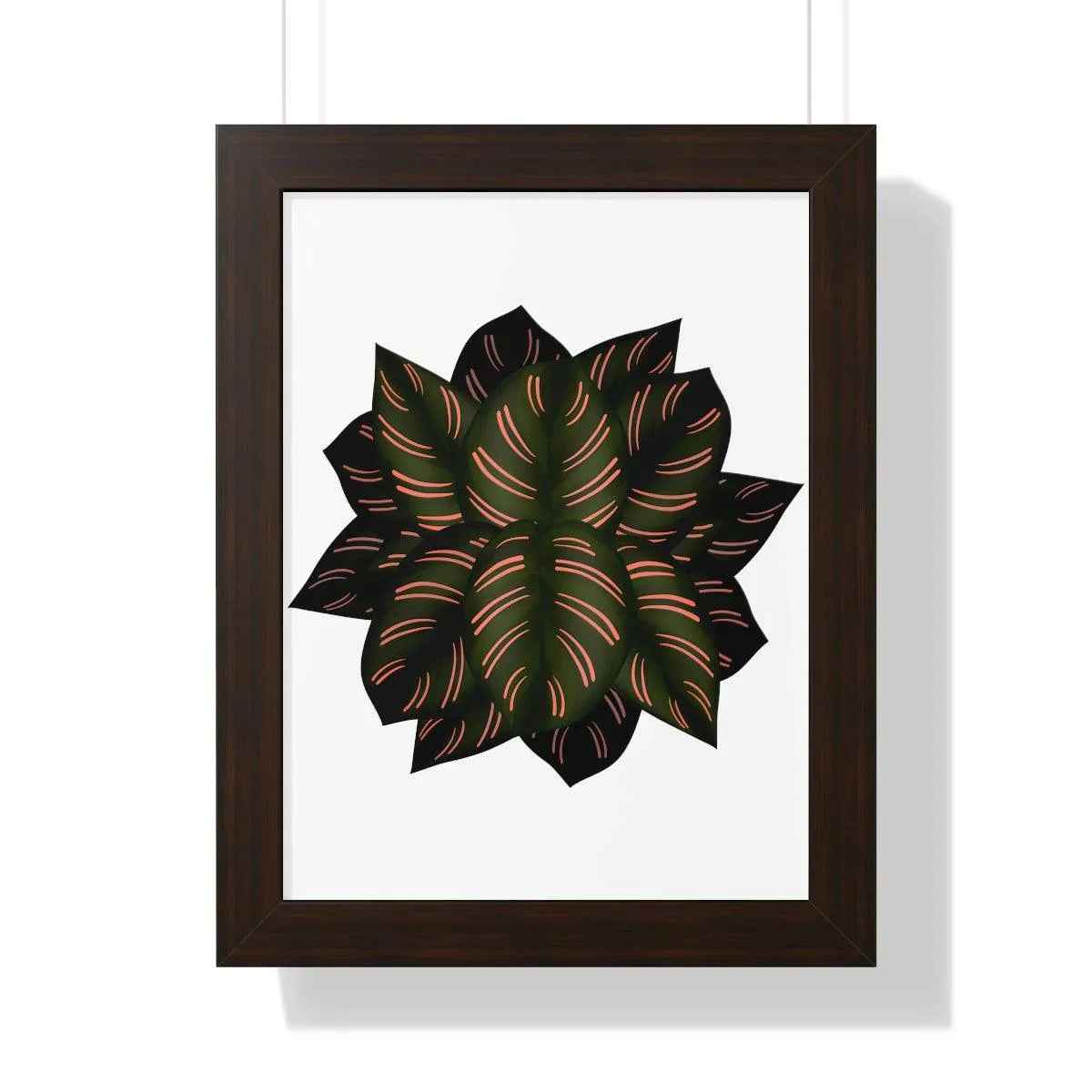 Calathea Pinstripe Framed Print – Botanical Wall Art