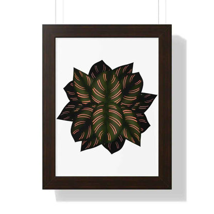 Calathea Pinstripe Framed Print – Botanical Wall Art