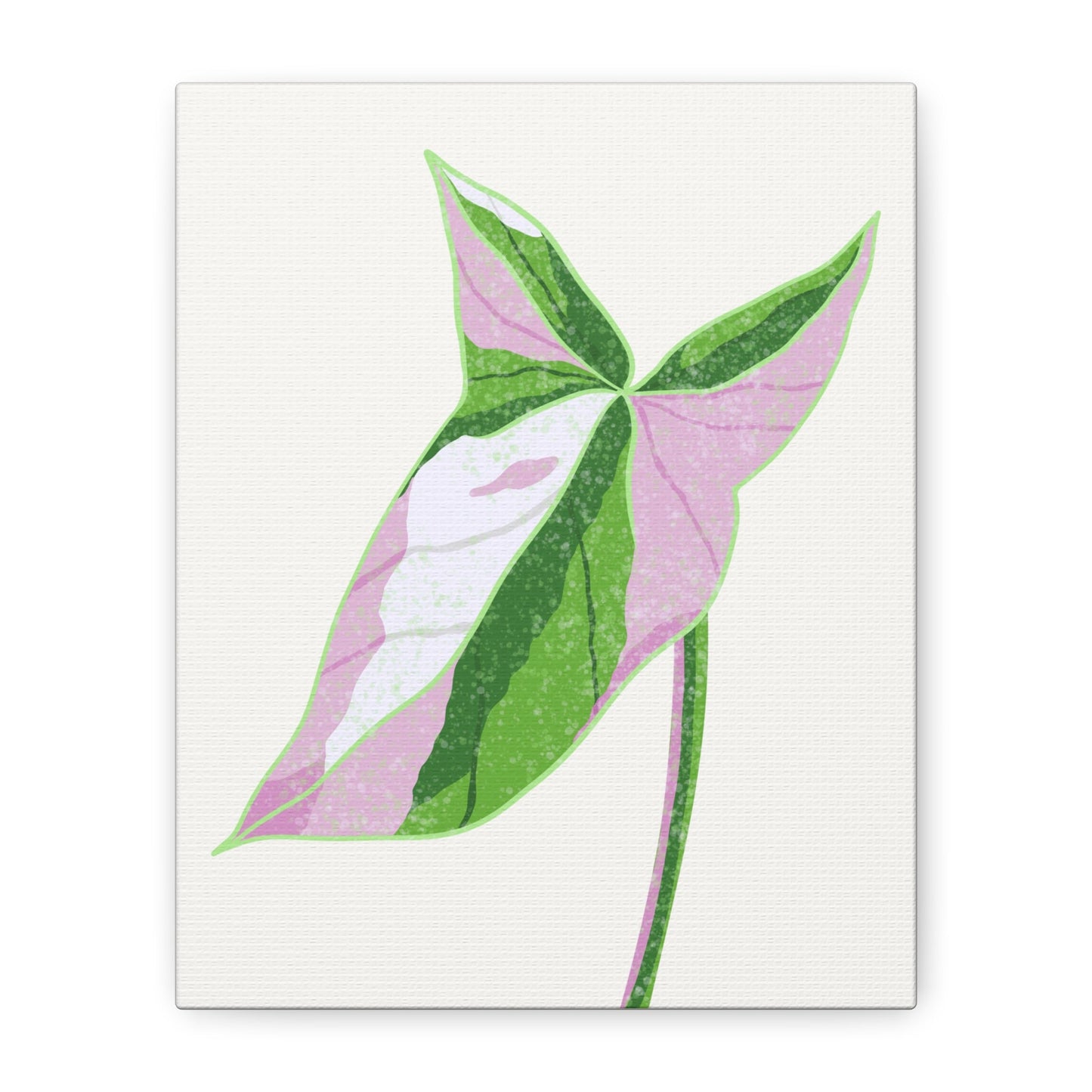 Syngonium Tricolor Canvas Print – Botanical Wall Art