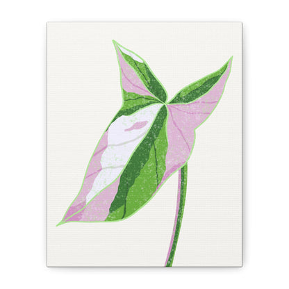 Syngonium Tricolor Canvas Print – Botanical Wall Art