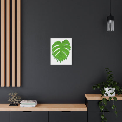 Melting Monstera Canvas Print – Botanical Wall Art