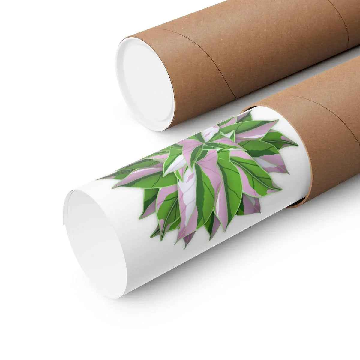 Syngonium Tricolor Pattern Botanical Print – Unframed Wall Art