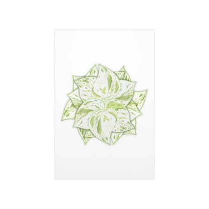 Snow Queen Pothos Botanical Print – Unframed Wall Art