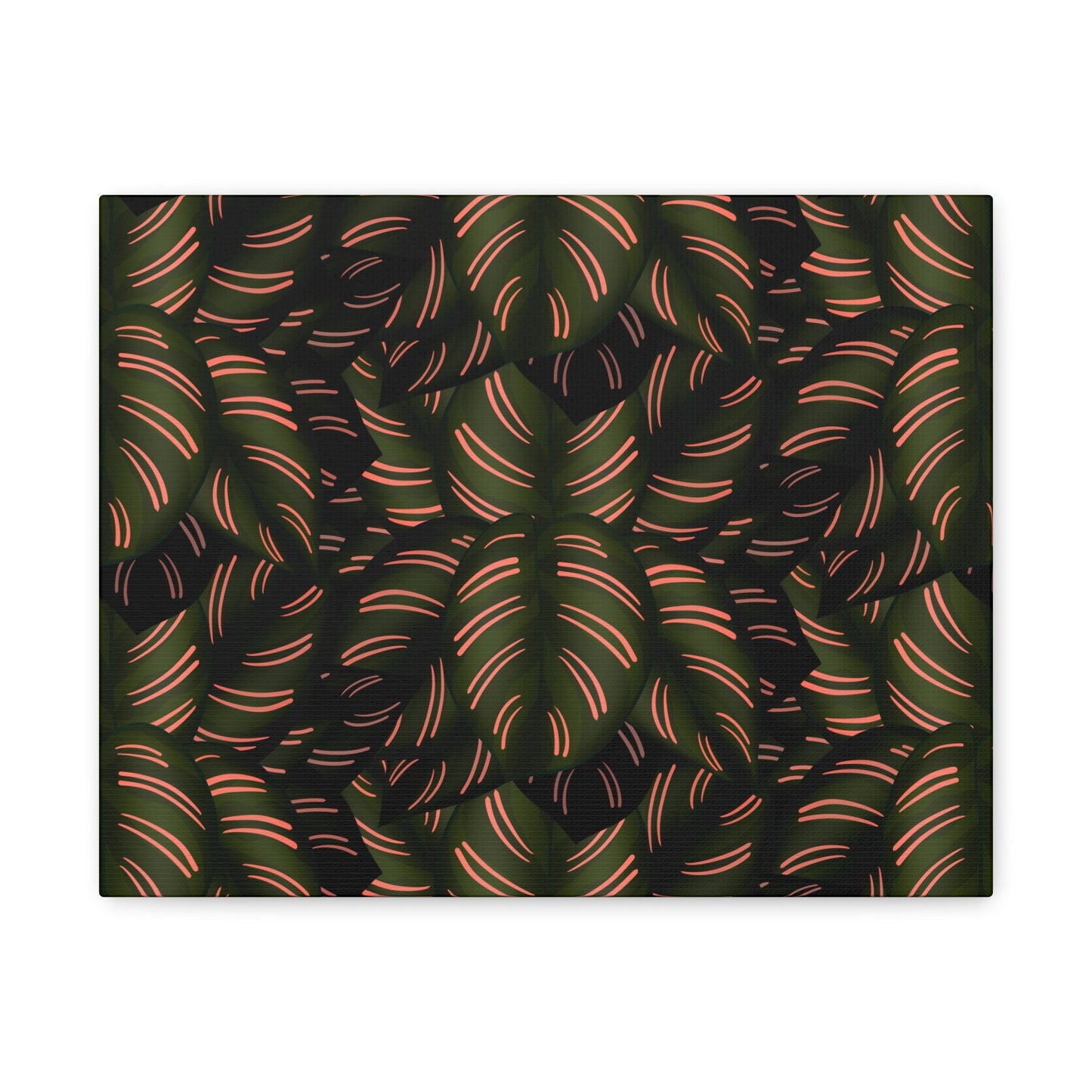 Calathea Pinstripe Pattern Canvas Print – Botanical Wall Art