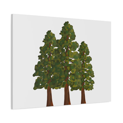 Coastal Redwood Canvas Print – Wall Art