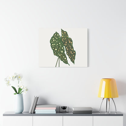 Begonia Maculata Canvas Print – Botanical Wall Art