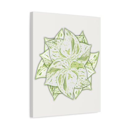 Snow Queen Pothos Canvas Print – Botanical Wall Art