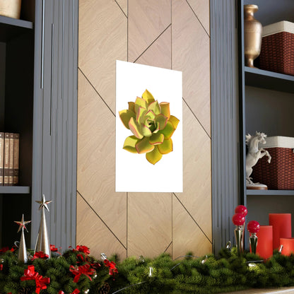 Noble Aeonium Succulent Botanical Print – Unframed Wall Art