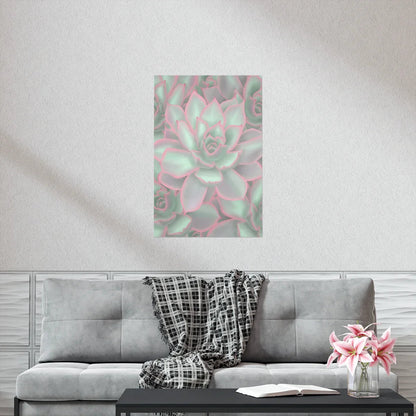 Echeveria Violet Queen Succulent Pattern Botanical Print – Unframed Wall Art
