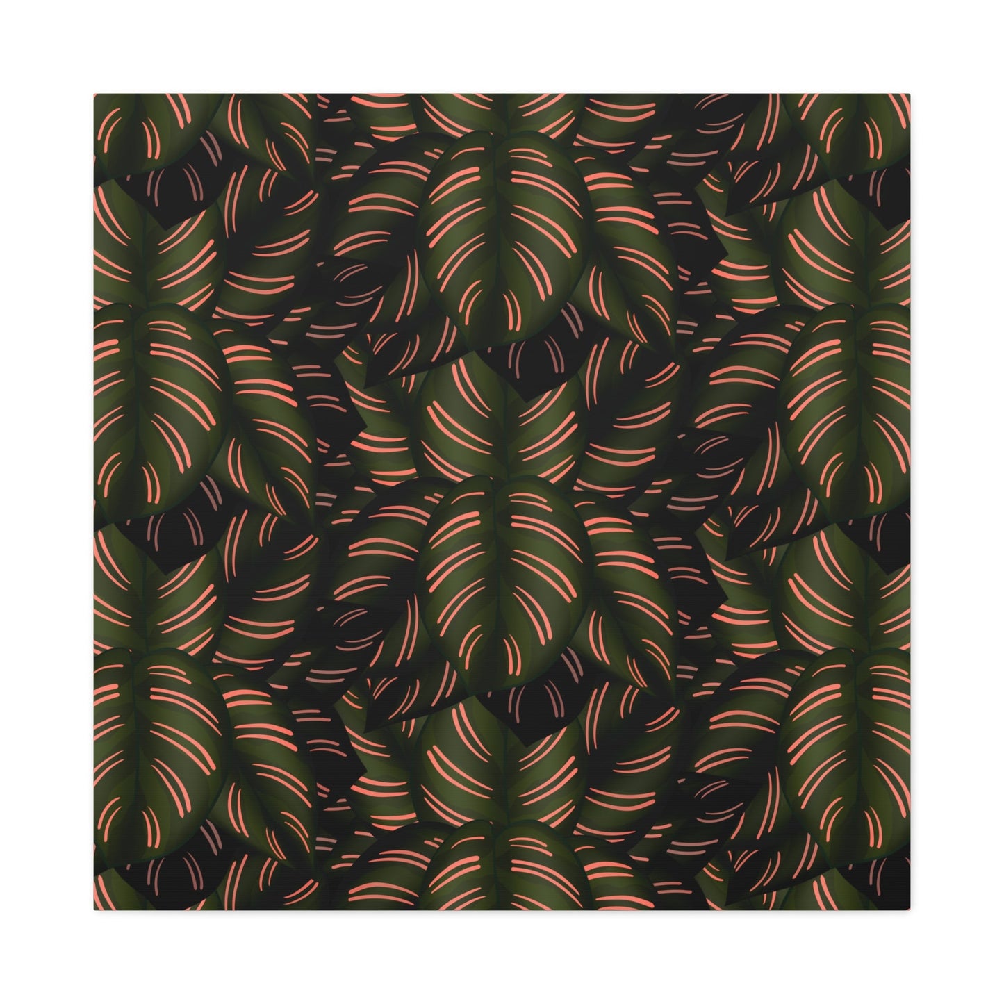 Calathea Pinstripe Pattern Canvas Print – Botanical Wall Art