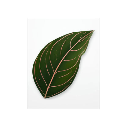 Aglaonema Rotundum Botanical Print – Unframed Wall Art
