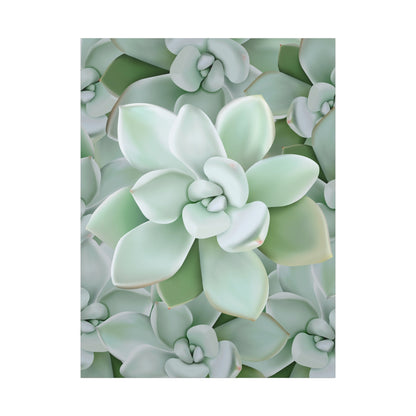 Pachyveria Haagei Succulent Pattern Canvas Print – Botanical Wall Art