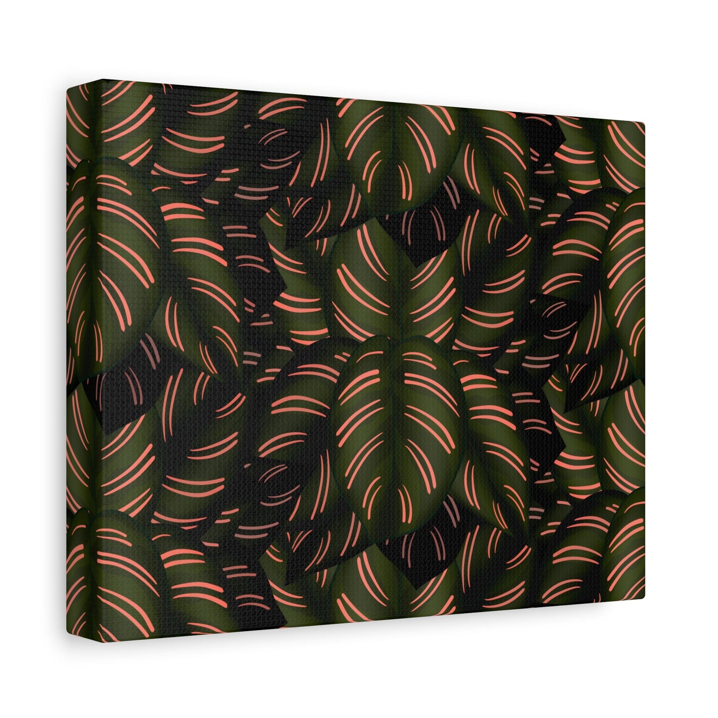 Calathea Pinstripe Pattern Canvas Print – Botanical Wall Art