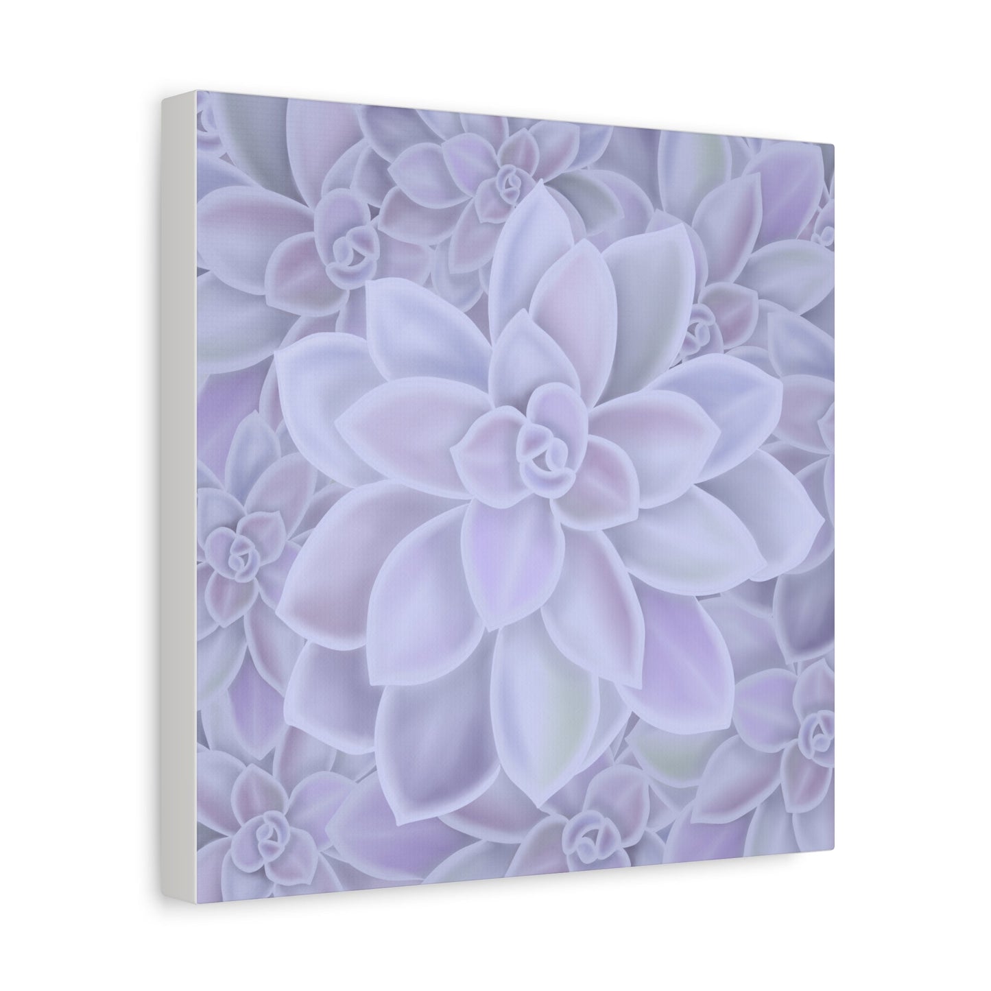 Graptopetalum Murasaki Succulent Pattern Canvas Print – Botanical Wall Art