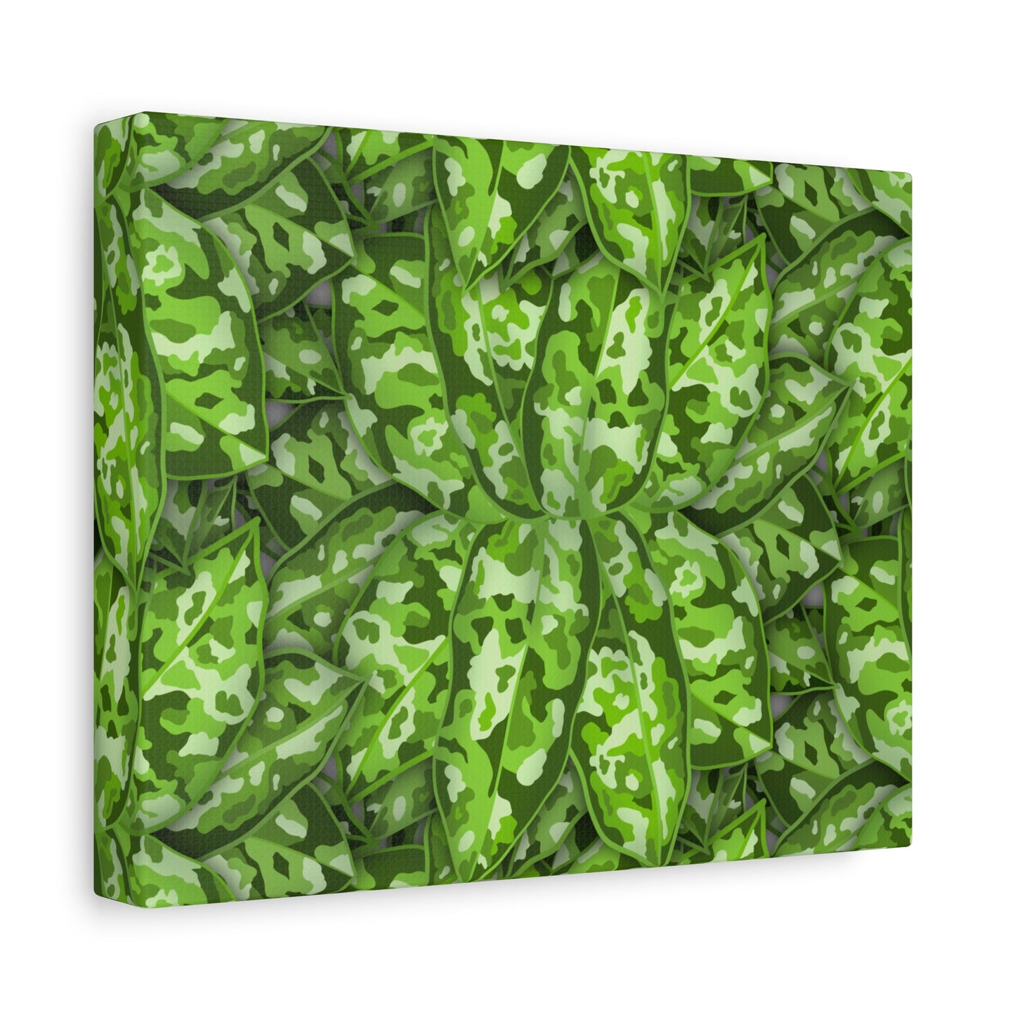 Aglaonema Pictum Canvas Print – Botanical Wall Art
