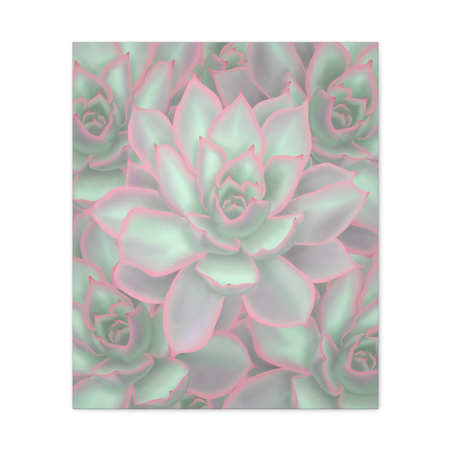 Echeveria Violet Queen Succulent Pattern Canvas Print – Botanical Wall Art