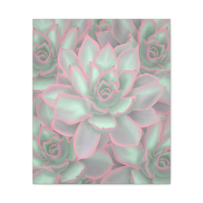 Echeveria Violet Queen Succulent Pattern Canvas Print – Botanical Wall Art