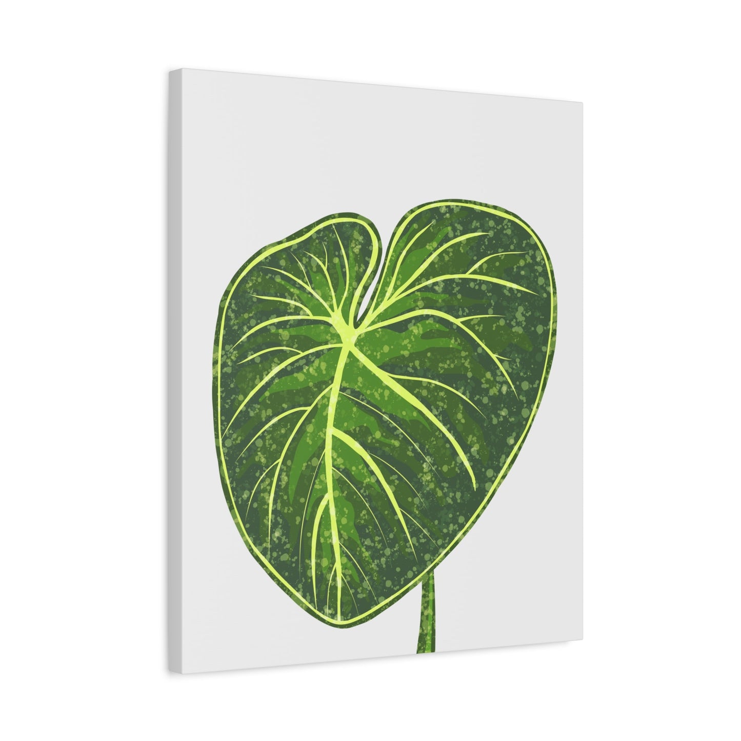 Philodendron Gloriosum Canvas Print – Botanical Wall Art