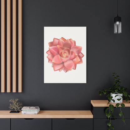 Graptosedum California Sunset Succulent Canvas Print – Botanical Wall Art