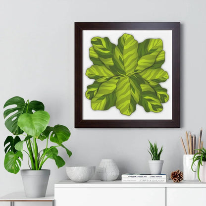 Calathea Yellow Fusion Framed Print – Botanical Wall Art