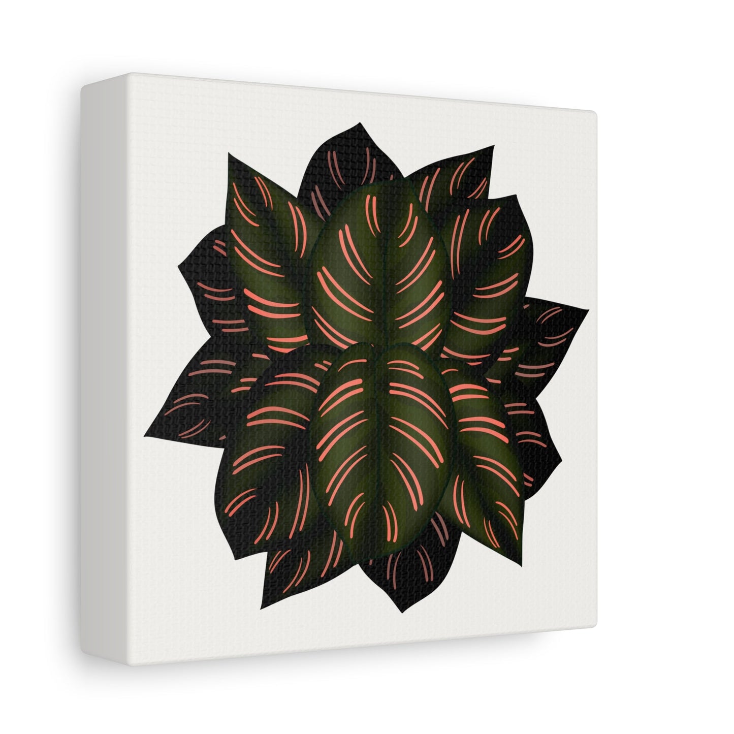Calathea Pinstripe Canvas Print – Botanical Wall Art