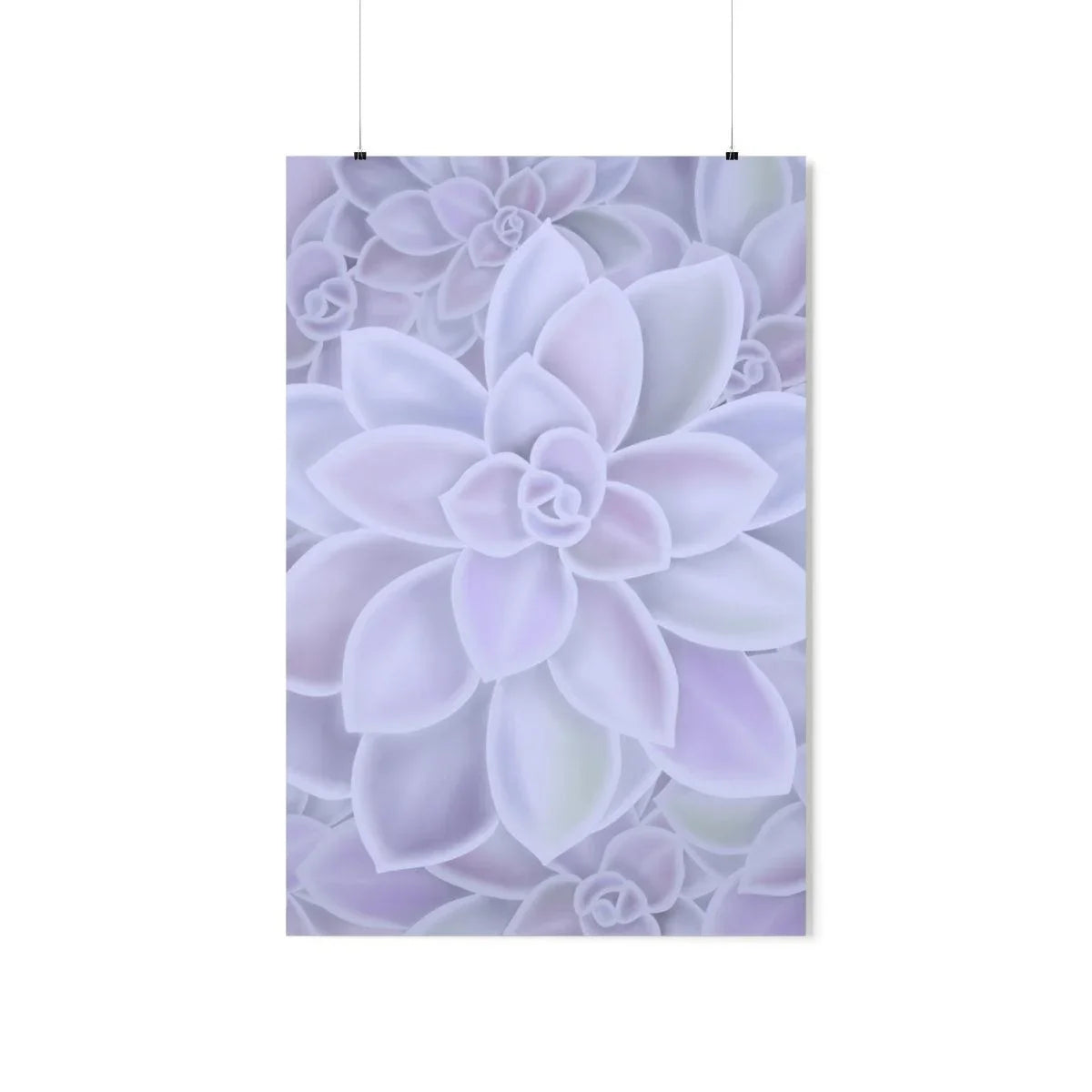 Graptopetalum Murasaki Succulent Pattern Botanical Print – Unframed Wall Art